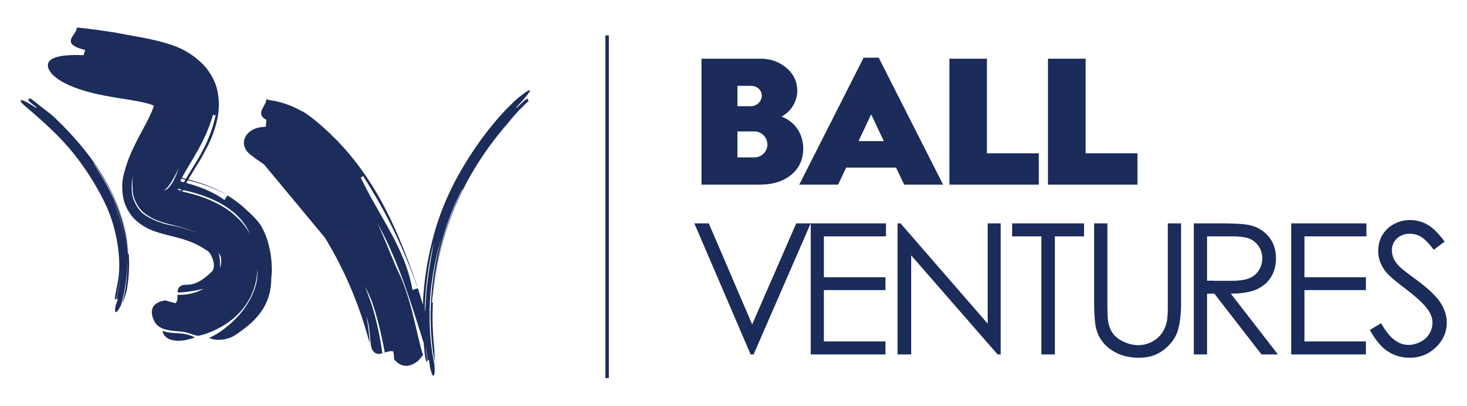 Blue Ball Ventures logo
