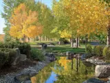 Snake River Landing Central Valley Water Feature Fall 2018